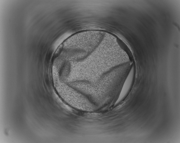 X0000099471293200806061211