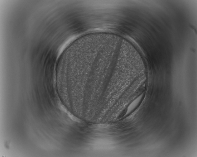 X0000099471294200806061211