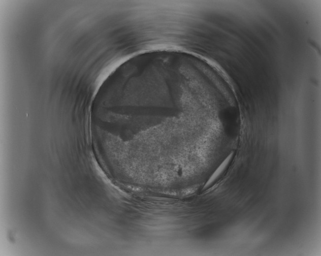 X0000099471295200806061211