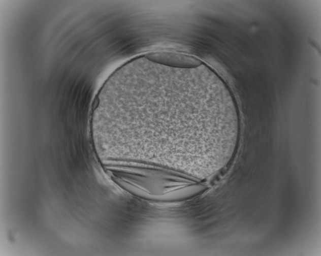 X0000099471296200806061211