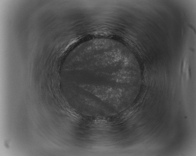 X0000099471297200806061210