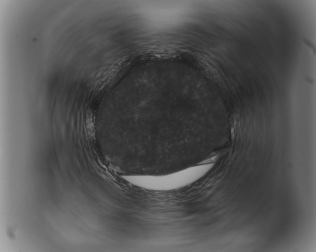 X0000099471298200806061210