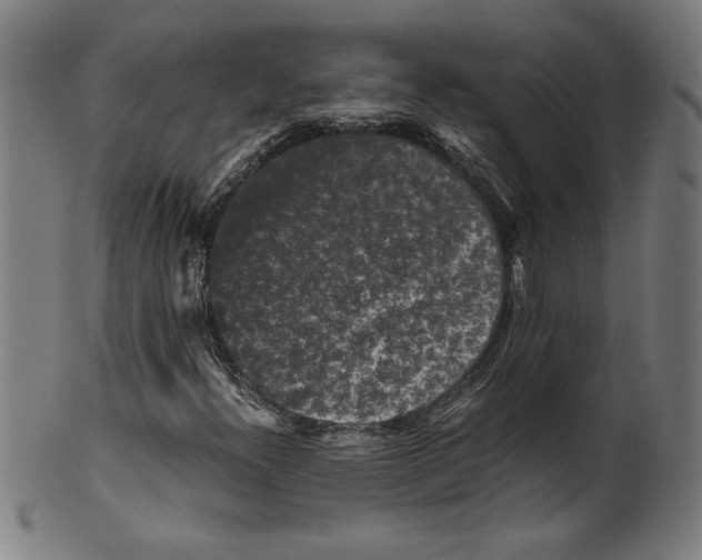 X0000099471300200806061210