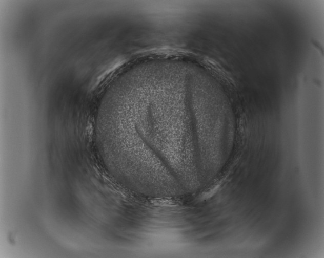 X0000099471302200806061210