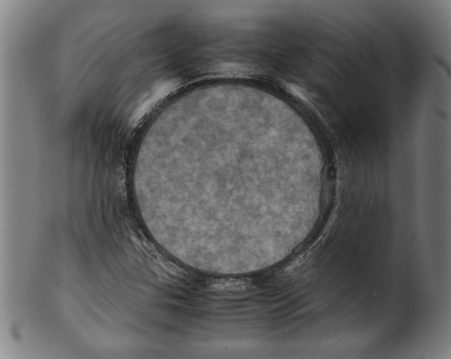 X0000099471307200806061210