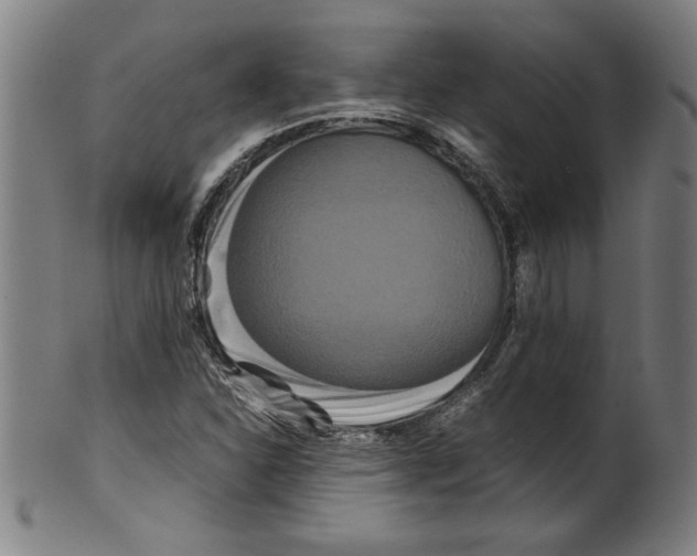 X0000099471310200806061210