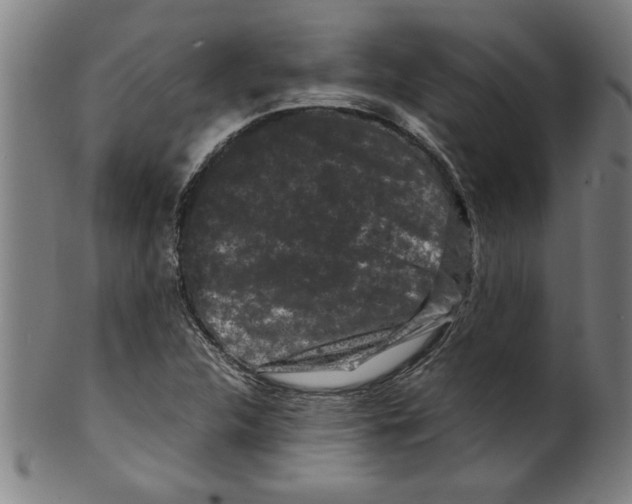 X0000099471312200806061210