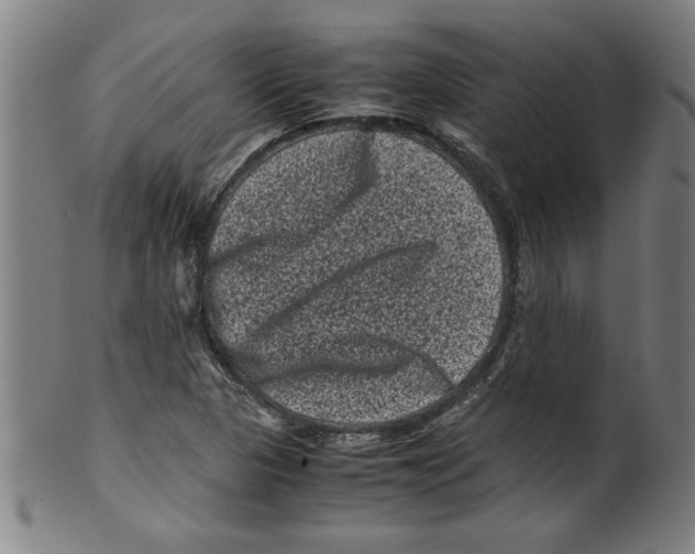 X0000099471313200806061210