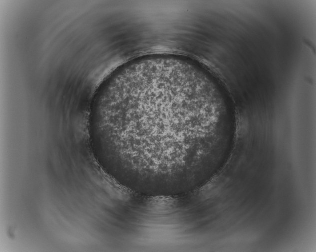 X0000099471314200806061210