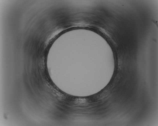 X0000099471315200806061210