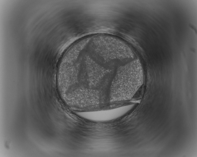 X0000099471316200806061210