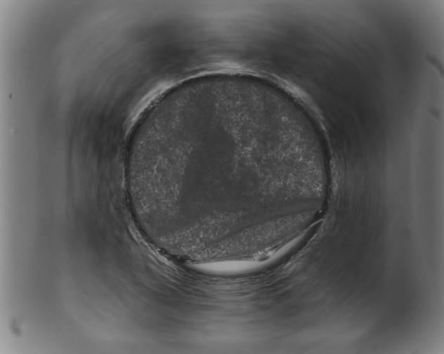 X0000099471318200806061210