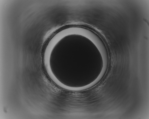 X0000099471319200806061210