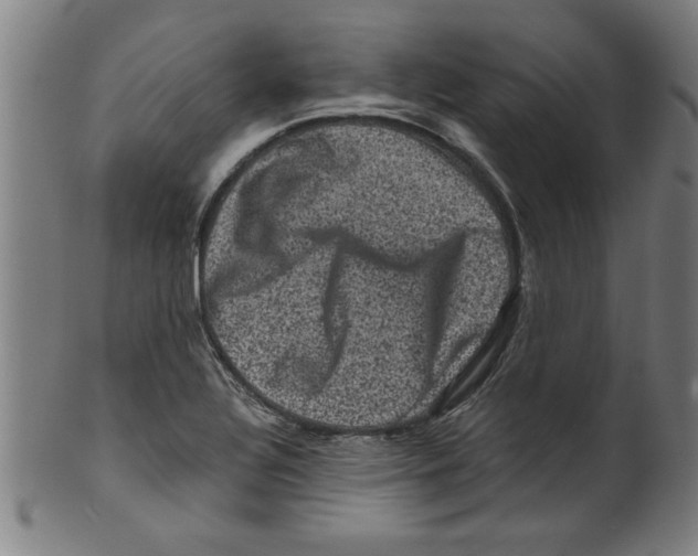 X0000099471320200806061210