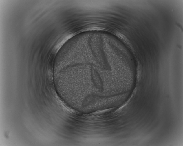 X0000099471321200806061210