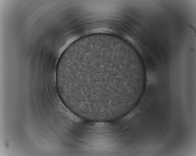 X0000099471322200806061210