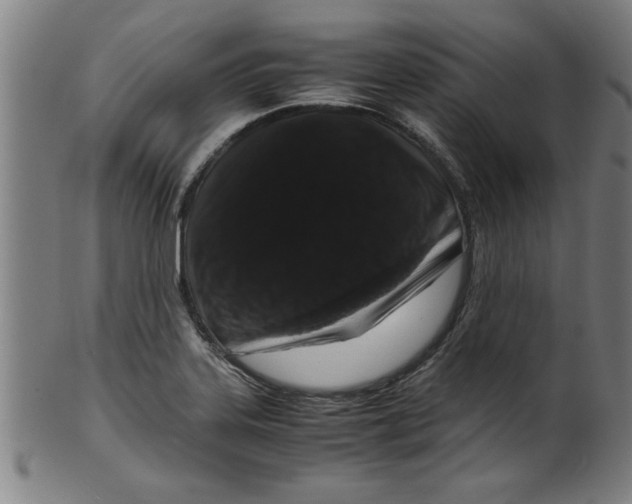 X0000099471323200806061210