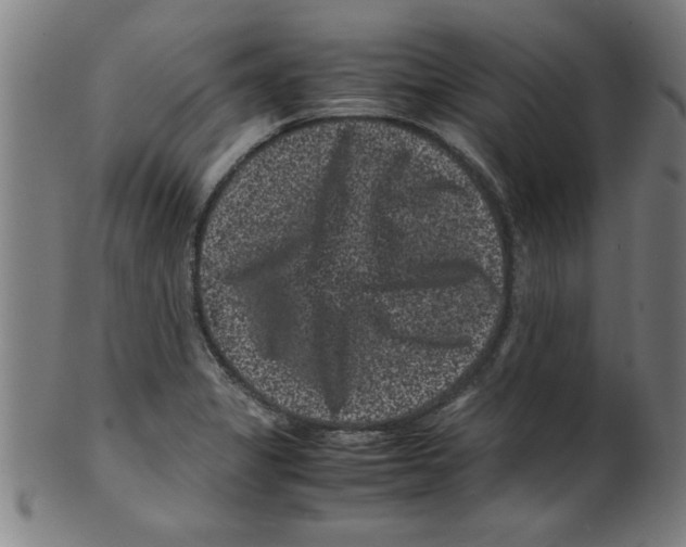 X0000099471325200806061210