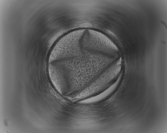 X0000099471326200806061210