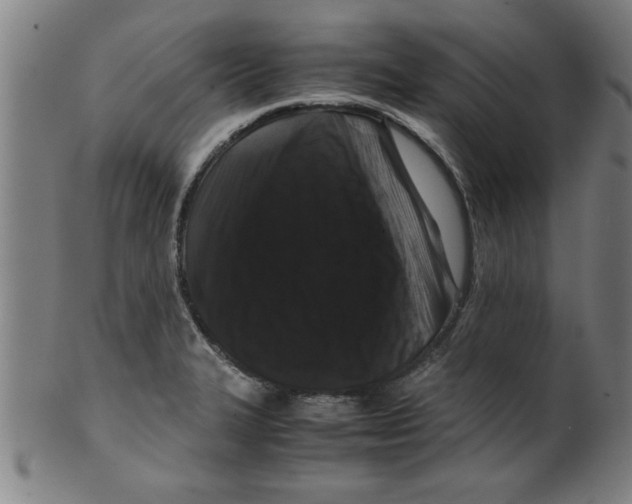 X0000099471327200806061210