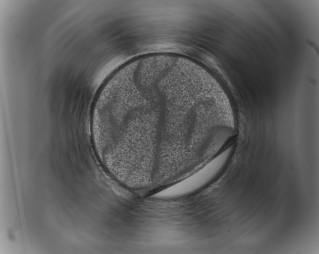 X0000099471328200806061210