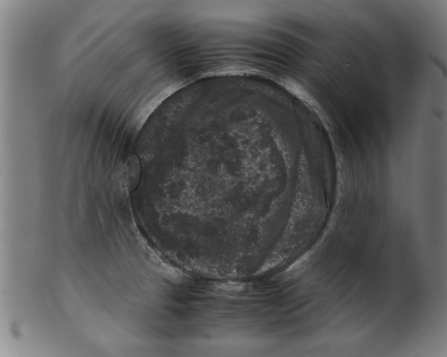 X0000099471329200806061210