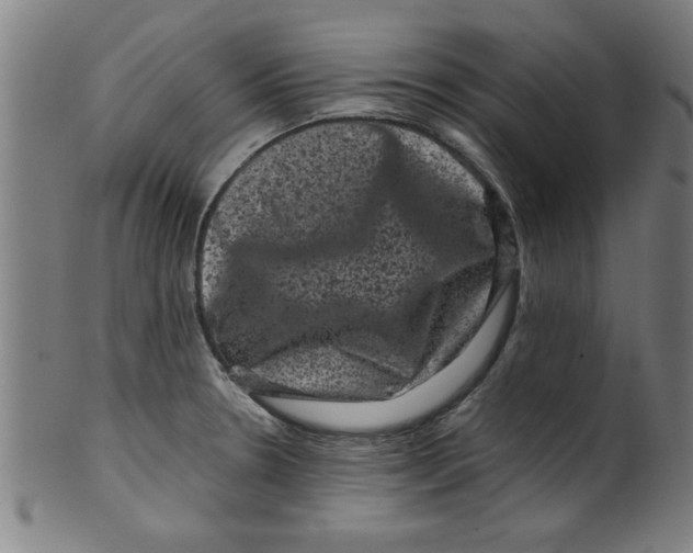 X0000099471330200806061210