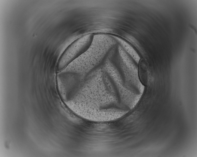 X0000099471332200806061211