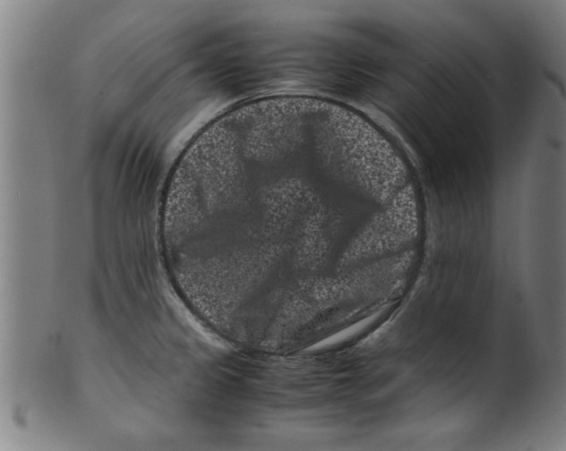 X0000099471333200806061211