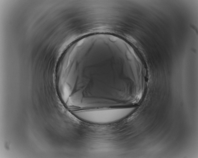 X0000099471334200806061211