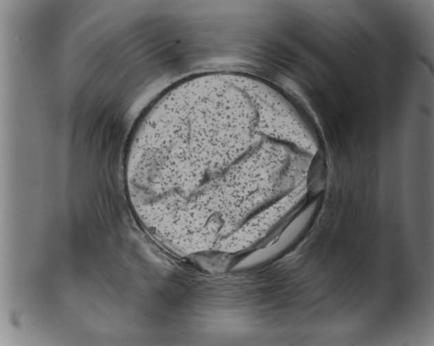 X0000099471336200806061211