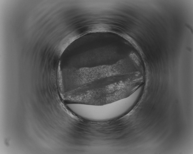 X0000099471337200806061211