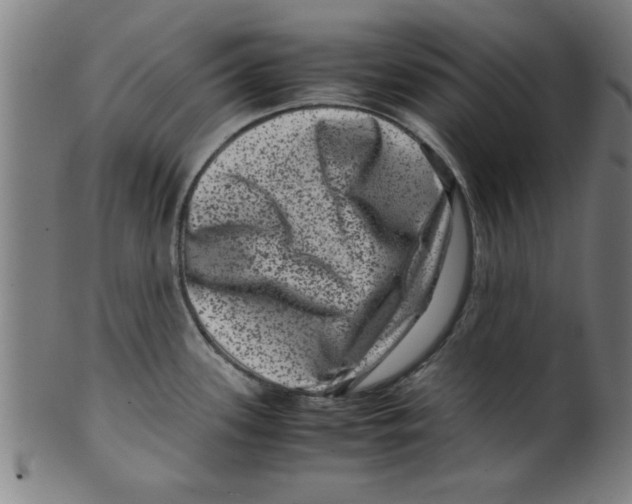 X0000099471339200806061211