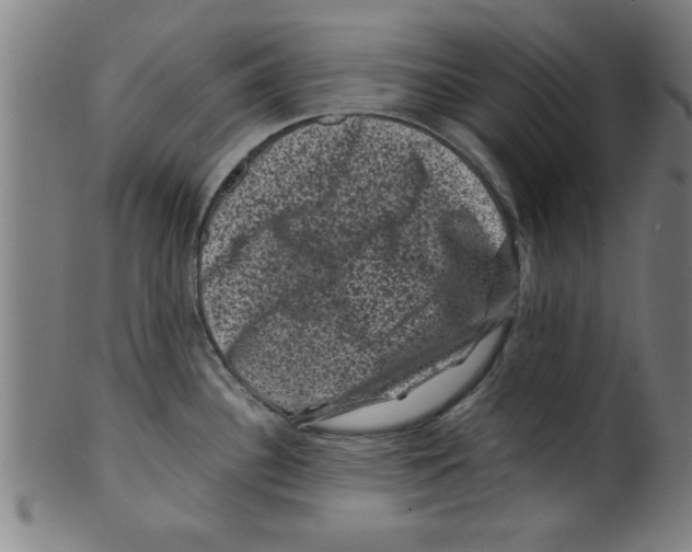 X0000099471340200806061211