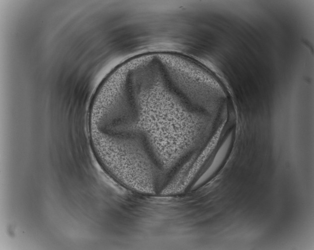 X0000099471342200806061211