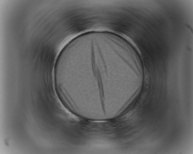 X0000099471343200806061211