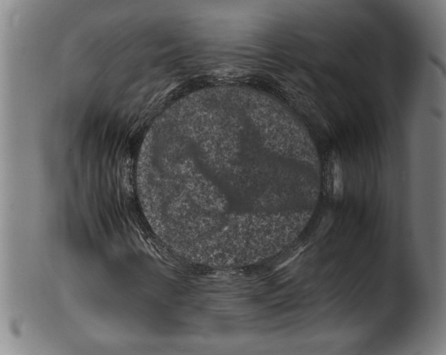 X0000099471346200806061210