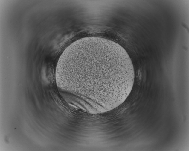 X0000099471348200806061210