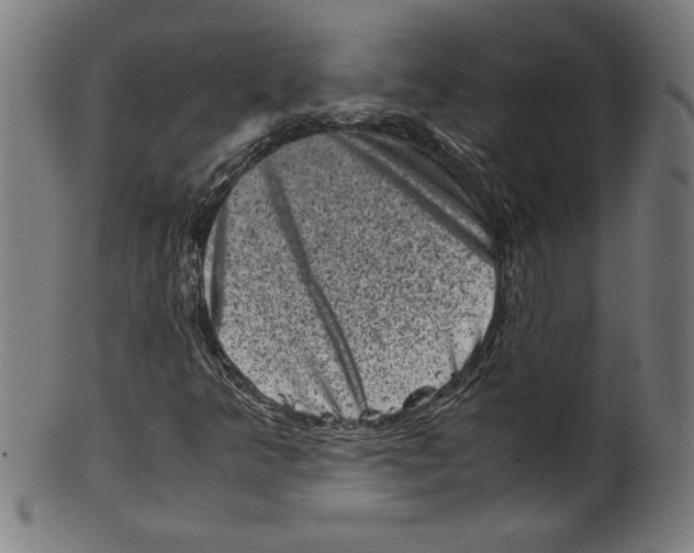 X0000099471349200806061210