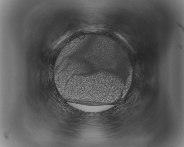 X0000099471350200806061210