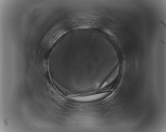 X0000099471353200806061210