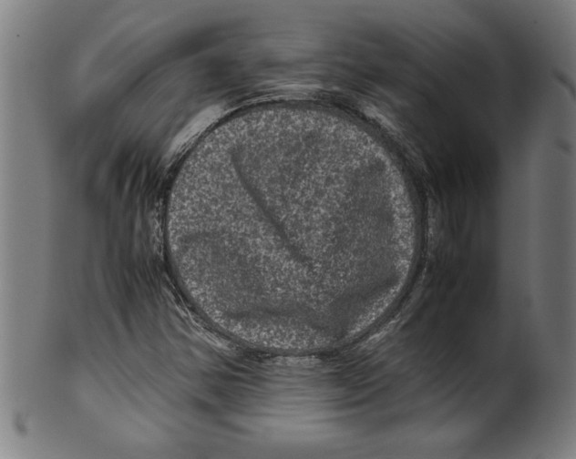 X0000099471354200806061210