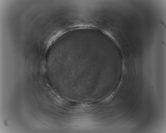 X0000099471357200806061210