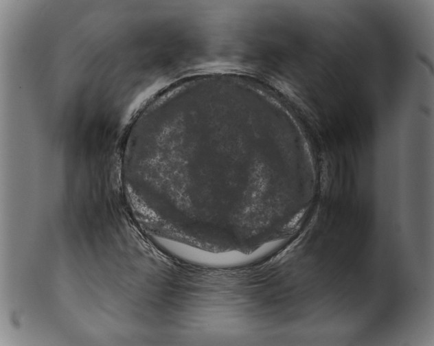 X0000099471358200806061210