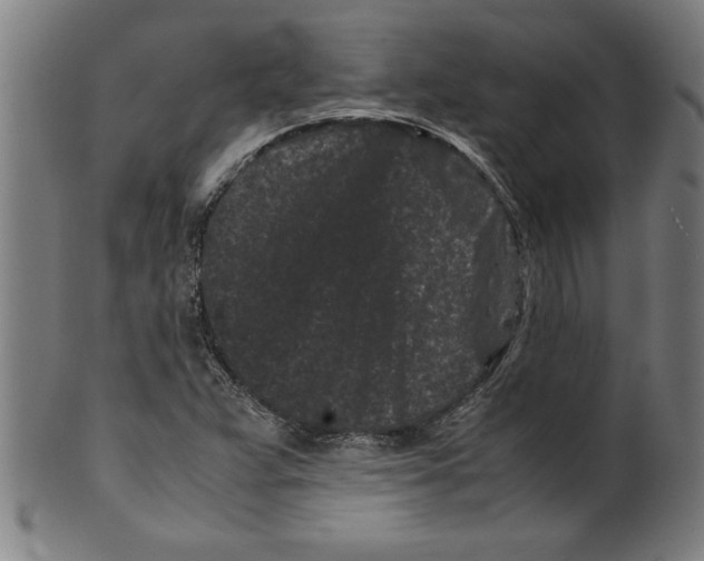 X0000099471359200806061210