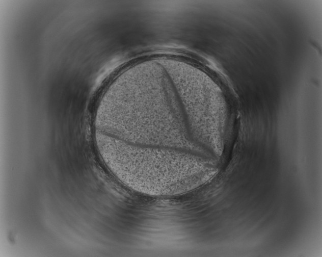 X0000099471360200806061210