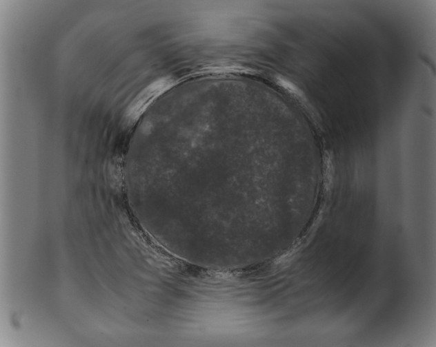 X0000099471361200806061210