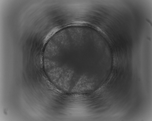 X0000099471362200806061210