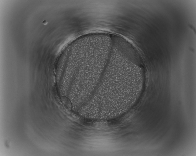 X0000099471363200806061210