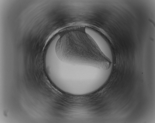 X0000099471364200806061210